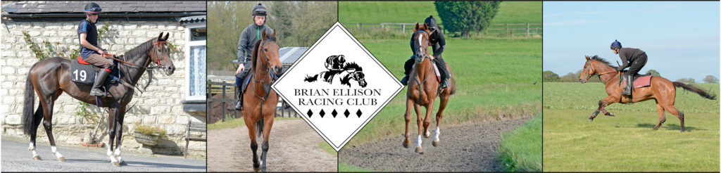 Brian Ellison Racing club Horses