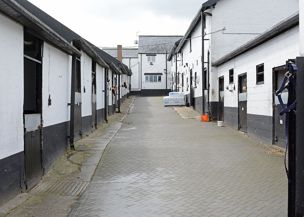 Read more about the article Our stables will not be open this year