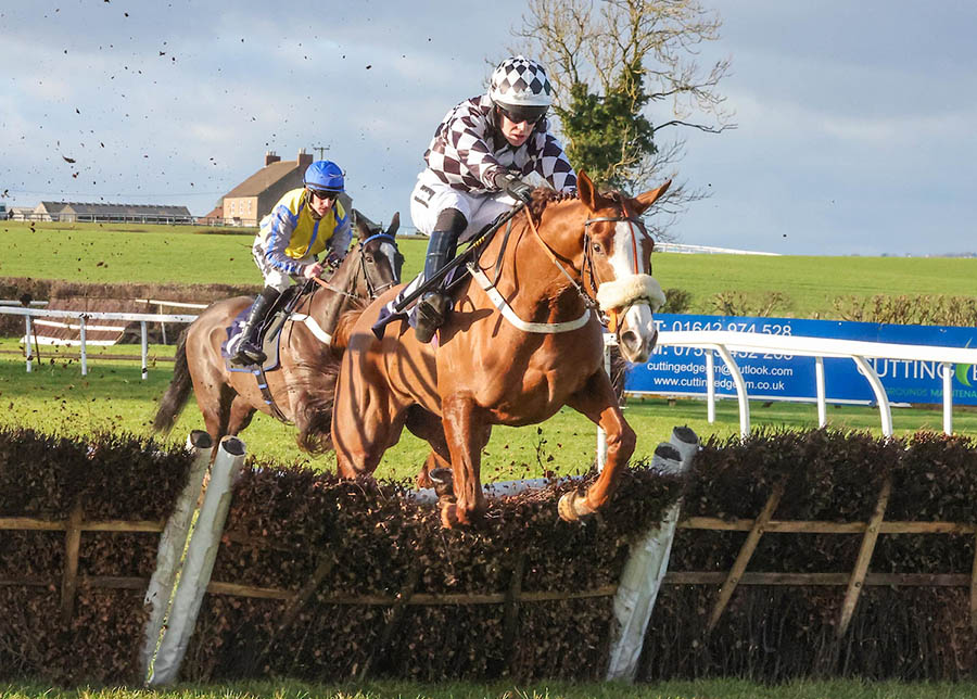 HORSES - Brian Ellison Racing Club
